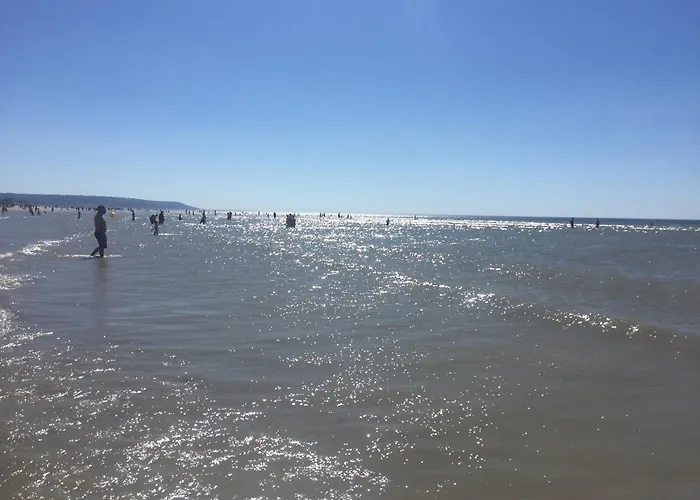 Daire Vue Port Centre Deauville